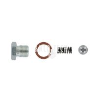 Lincoln Check valve kit 280073
