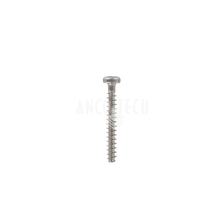 RVS SCHROEF PZD 3X25 VOOR P203 BODEM