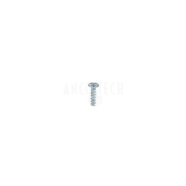 SCREW F.PLASTIC BZ3,0X10,0B ZG
