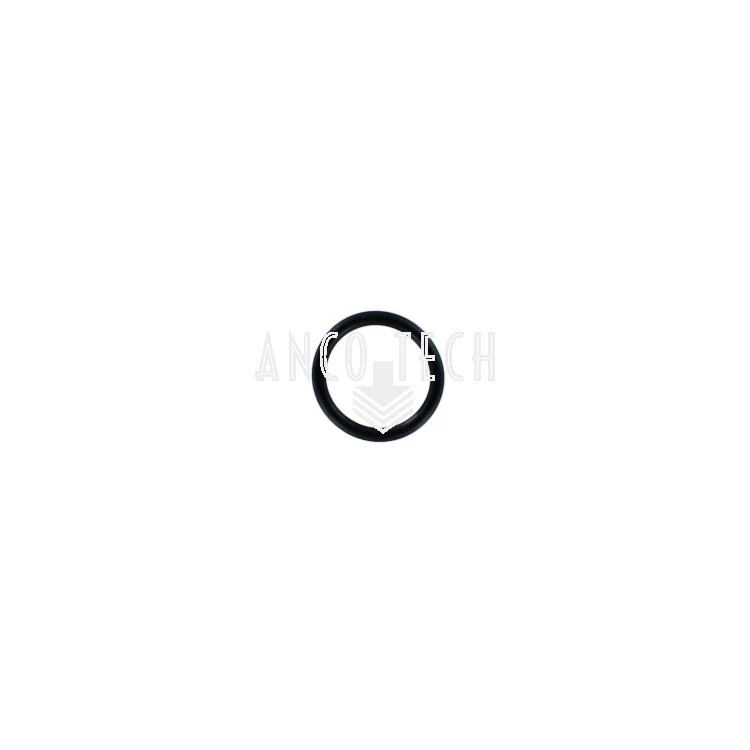 O RING 34174