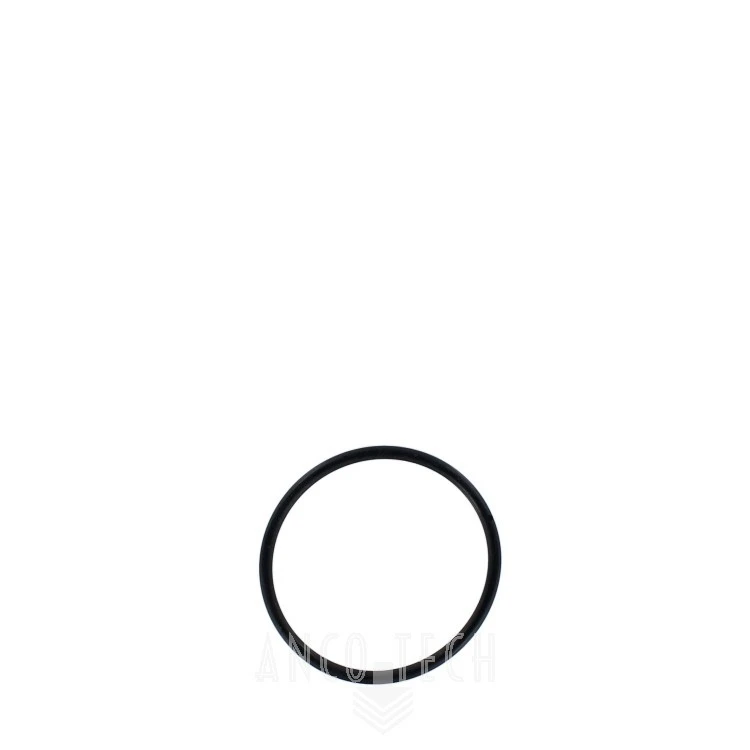 O-RING 34309
