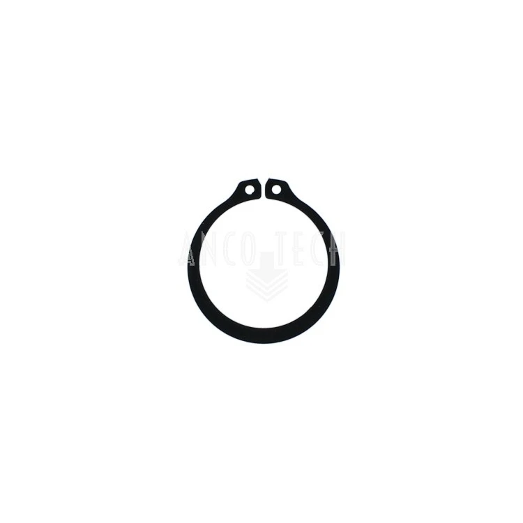 RETAINING RING 69034
