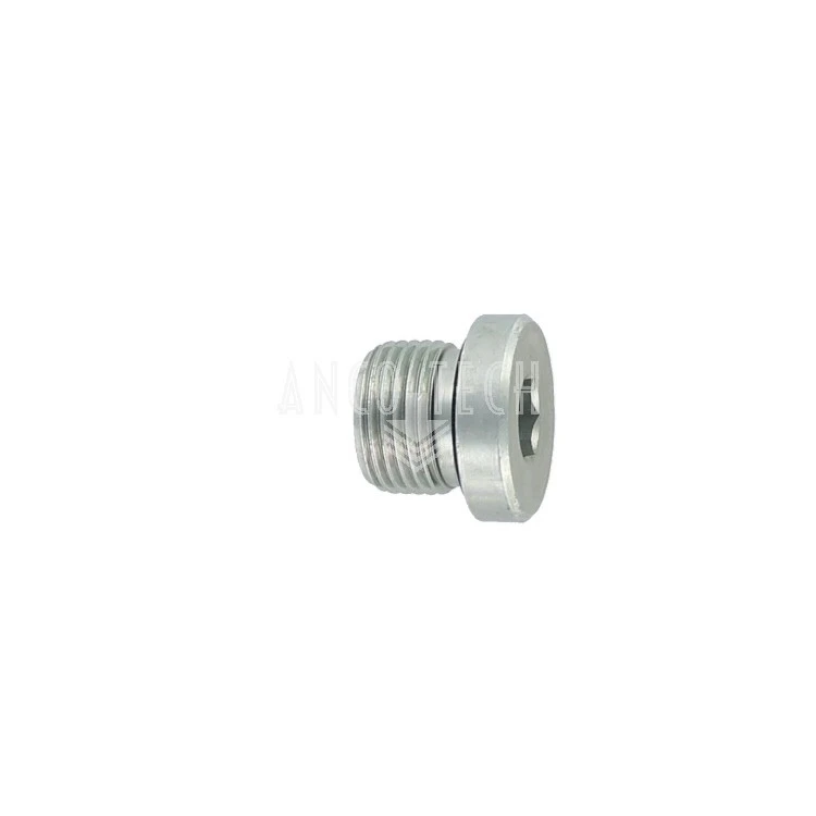 AFSLUITPLUG 3/8 BSP