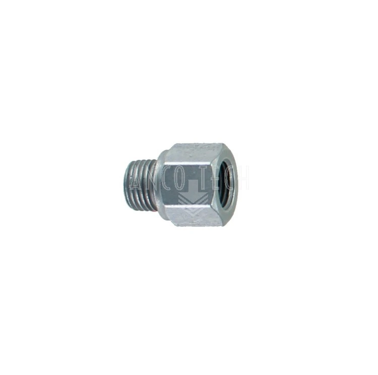 VERLENGNIPPEL 1/4 BSPT L=25MM