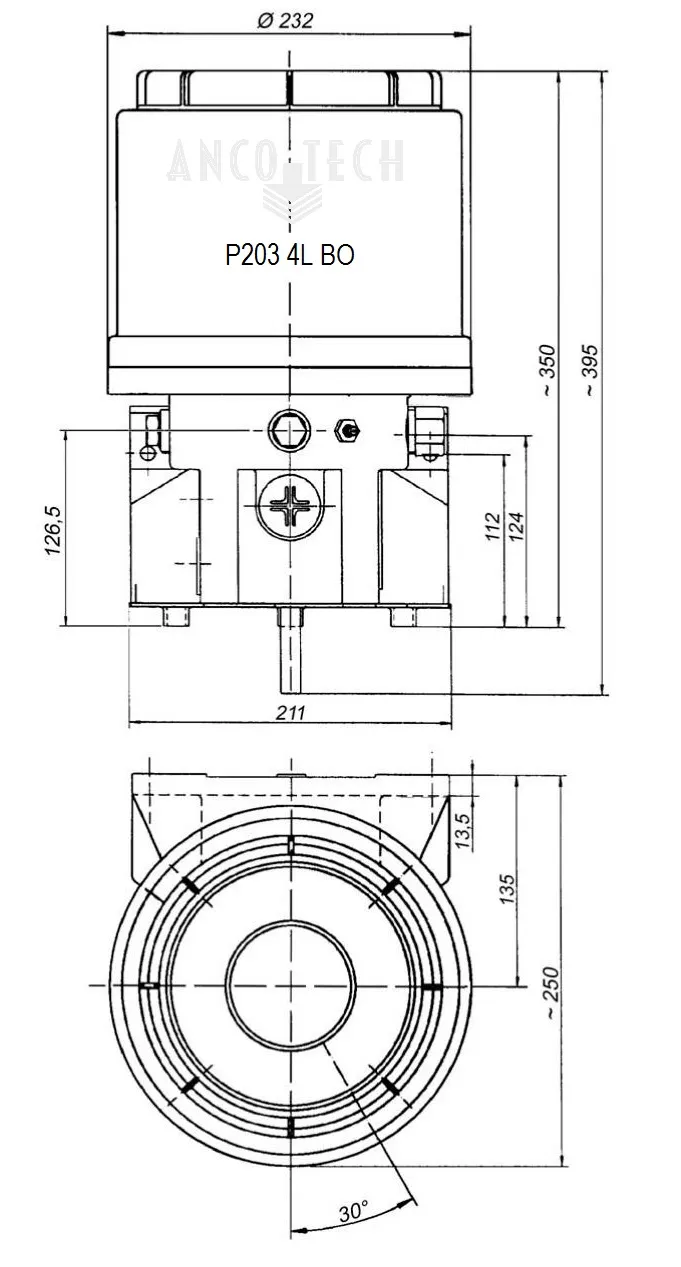 P203 VETPOMP 4L 24V + TIMER 1 x K7 1 X K5 UITLAAT