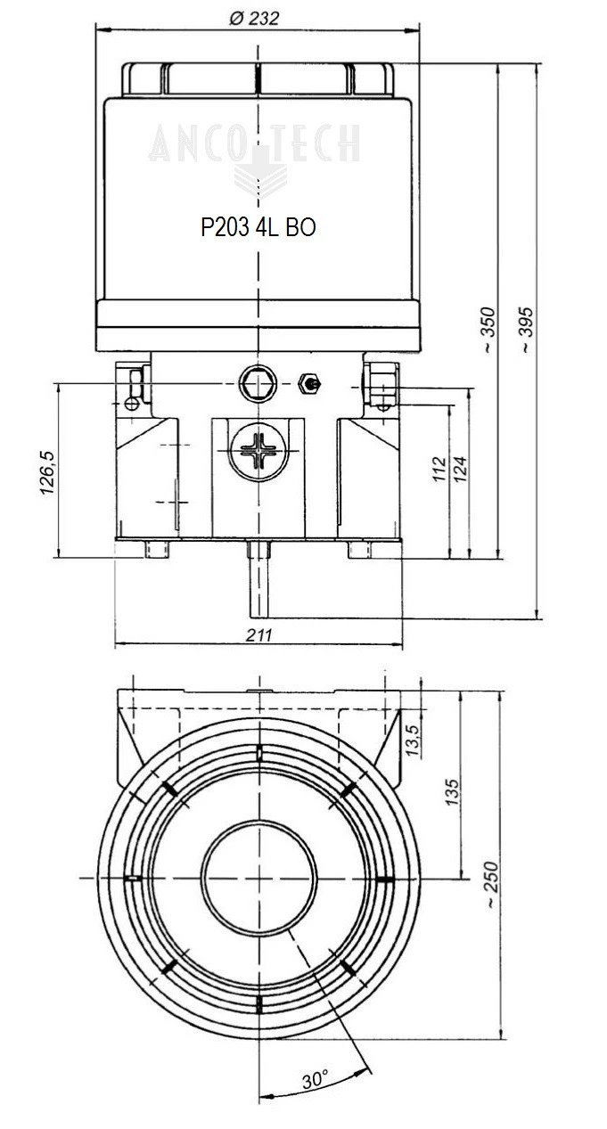 P203 VETPOMP 4L 24V + LAAG NIVEAU CONTROLE