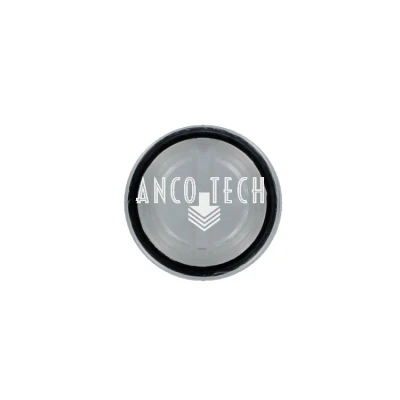 PLUG MET O-RING M33x2 VOOR P502 (TIMER)