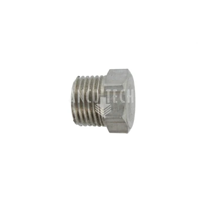 AFSLUIT PLUG 1/8NPT RVS