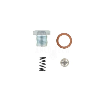 CHECK VALVE KIT 280231