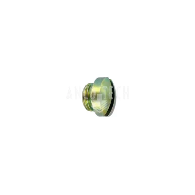 PLUG CLOSURE-SLOT G1/4AX 8 C