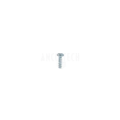 SCREW F.PLASTIC BZ3,0X10,0B ZG