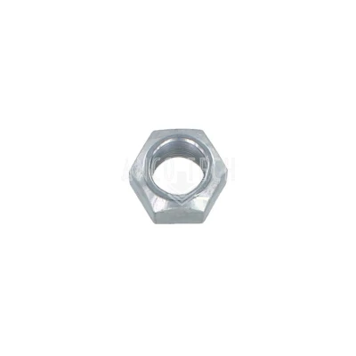 NUT 236203