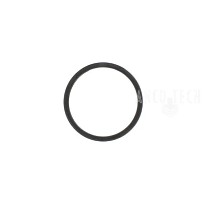RETAINING RING 247275