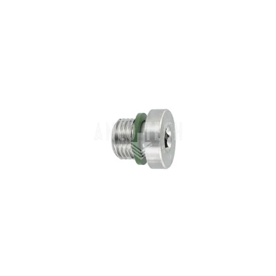 AFSLUIT PLUG 1/4 BSP  RVS