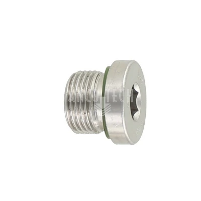 AFSLUIT PLUG 3/8 BSP  RVS