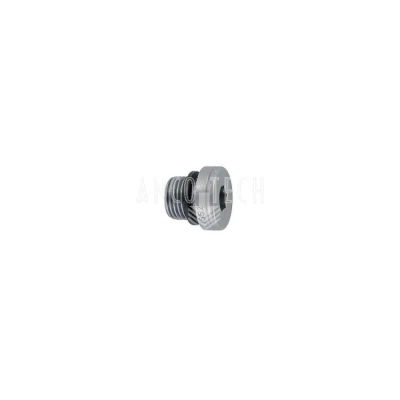 AFSLUIT PLUG 1/8 BSP