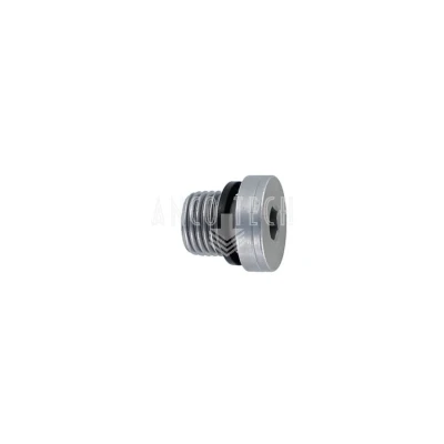 AFSLUIT PLUG 1/4 BSP