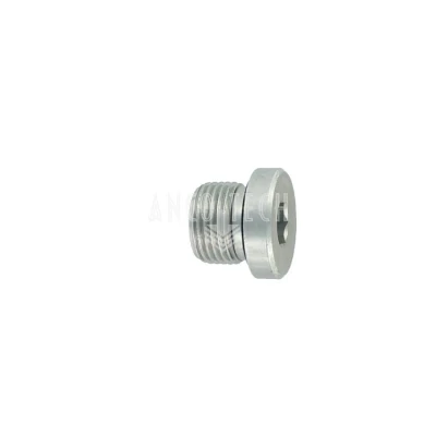 AFSLUIT PLUG 3/8 BSP