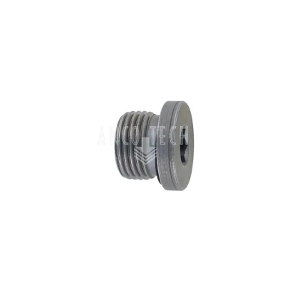 AFSLUIT PLUG 1/2 BSP