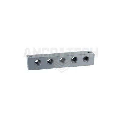SMEERNIPPELBLOK 5 AANSLUITINGEN 1/8"