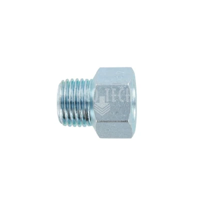 VERLOOPRING 1/4 BSPT x M10x1